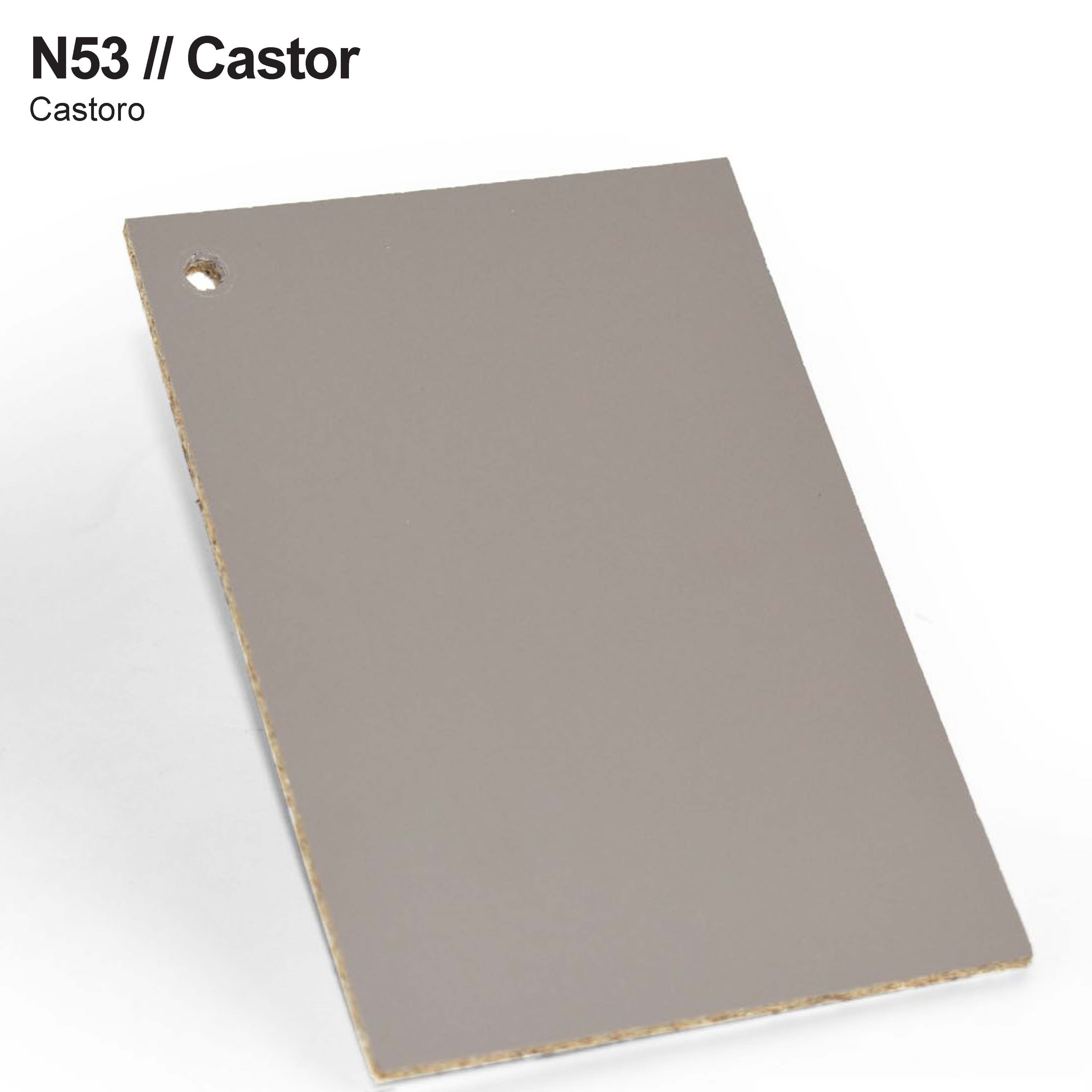 Castor N53 